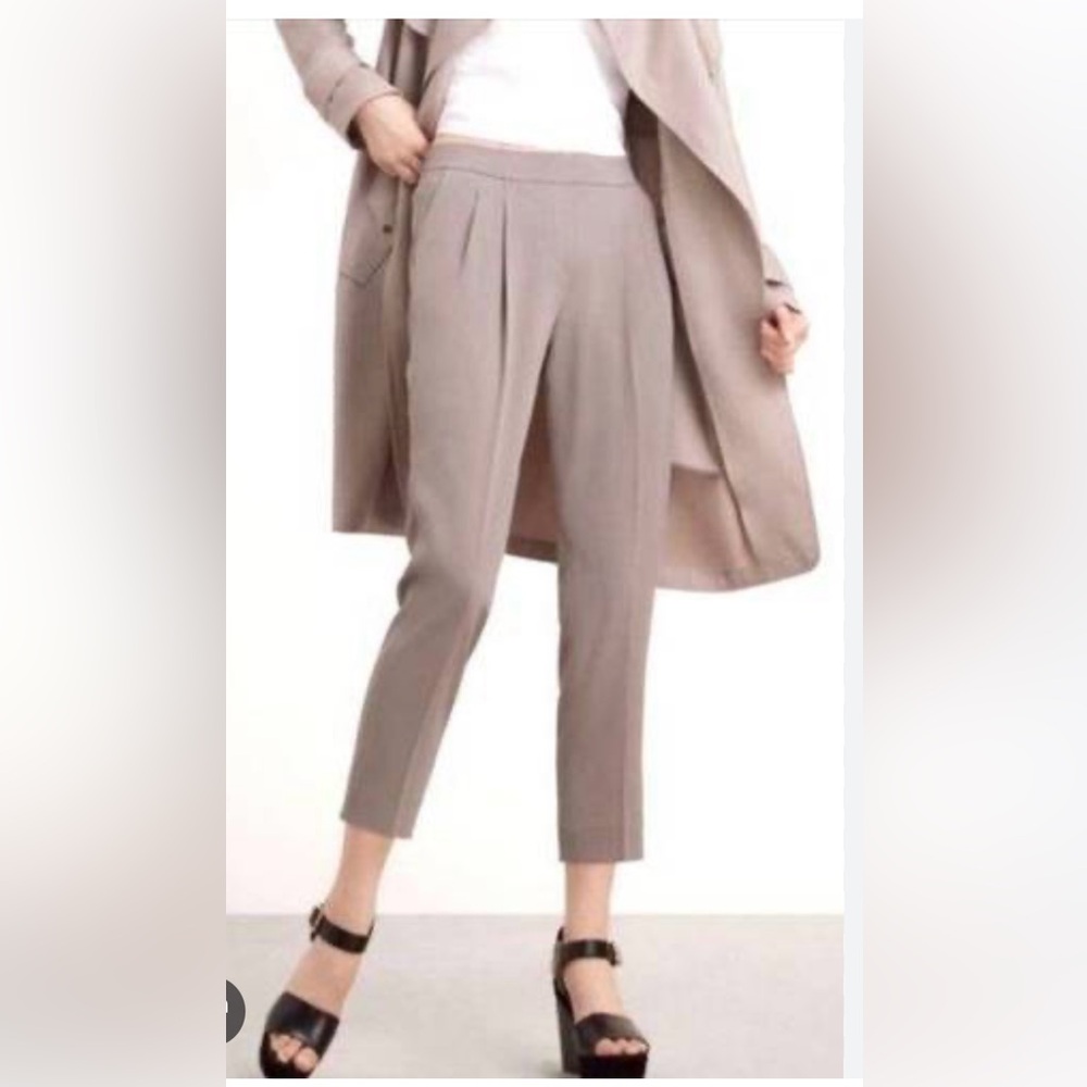 Aritzia Taupe Cropped Pleated Trousers